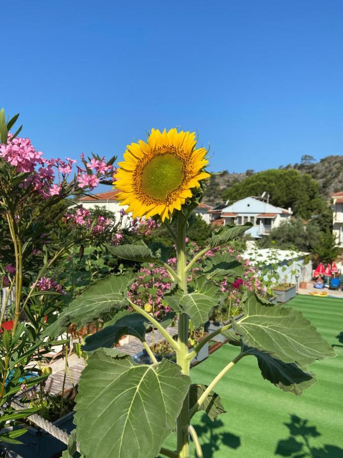 On Oda Oludeniz Hotell Exteriör bild