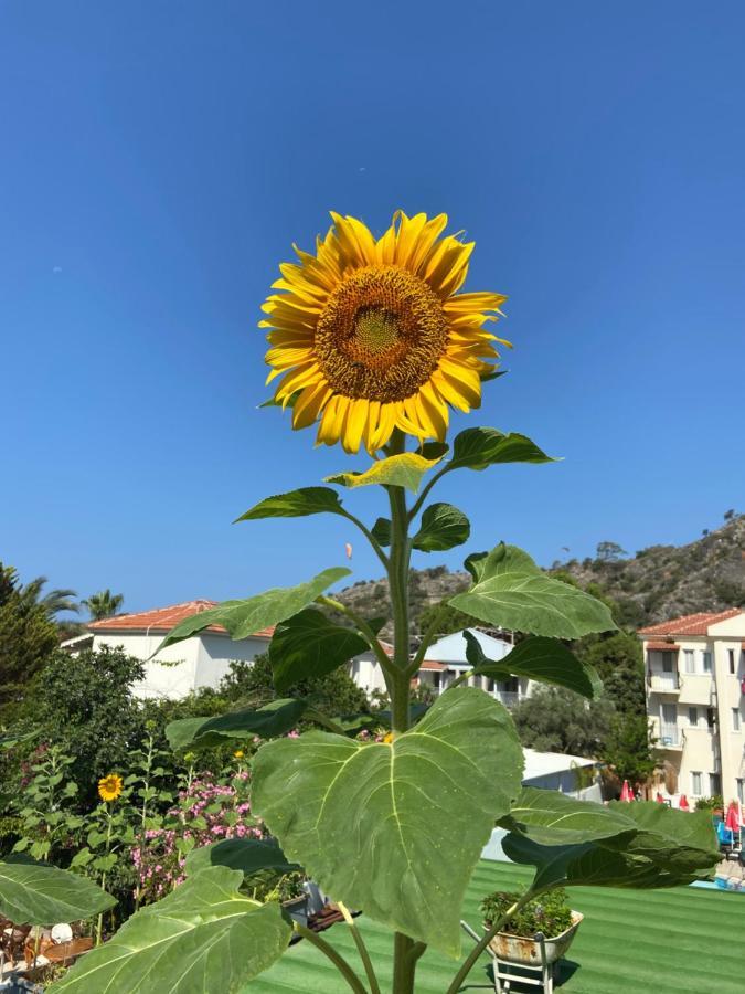 On Oda Oludeniz Hotell Exteriör bild